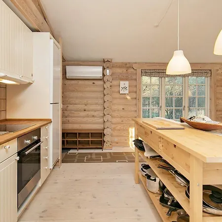 12 Person In Saeby-by Traum *